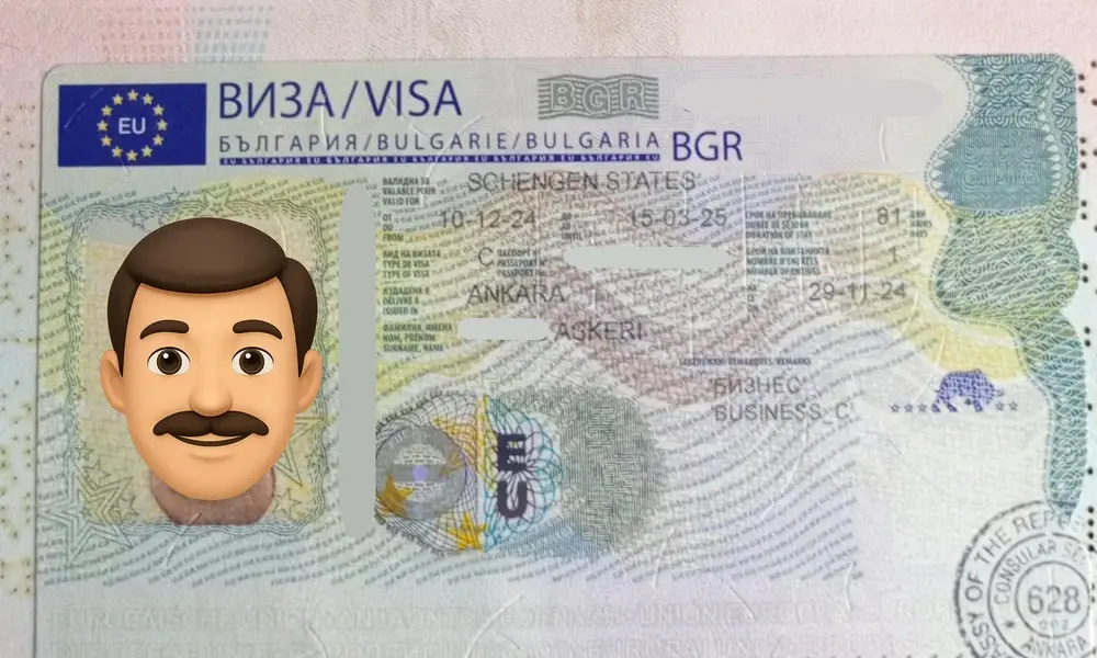 Visa Card 61