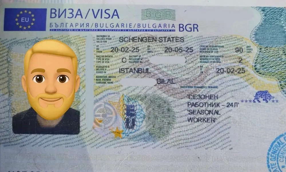 Visa Card 7