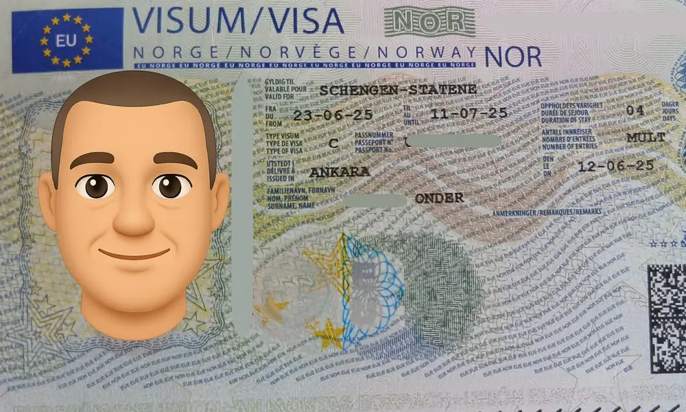 Visa Card 42
